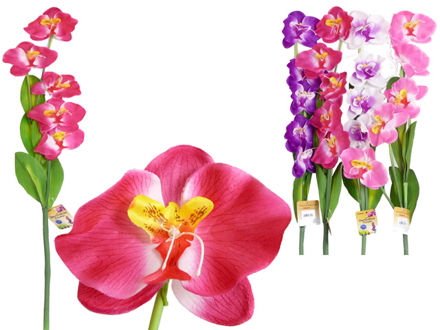 Flower, Planter, Vase